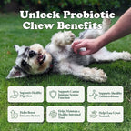 Premium Nutrient Dog Food