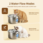 Cat Water Fountain - 8 Filters & 8 Sponges, 2.8L