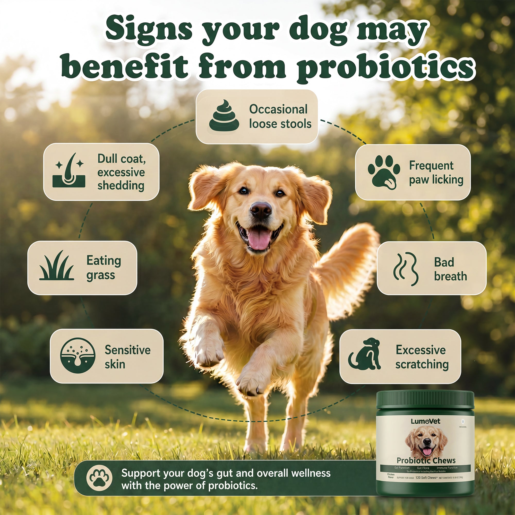 Probiotics for Dogs Probiotics Chews